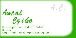 antal cziko business card